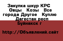 Закупка шкур КРС , Овцы , Козы - Все города Другое » Куплю   . Дагестан респ.,Буйнакск г.